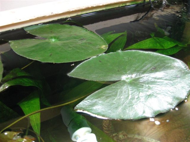 Click image for larger version.&nbsp;

&nbsp;
&nbsp;
&nbsp;
ID:	85207