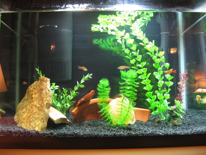 Terra cotta pots in the Aquarium