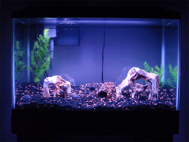 Tank_Light_Cycle.gif