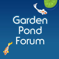 www.gardenpondforum.com