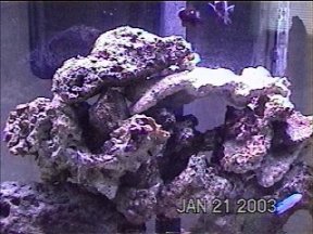 tank2.jpg
