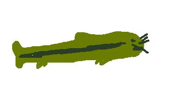 poop.jpg