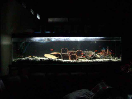 dsc02016.jpg