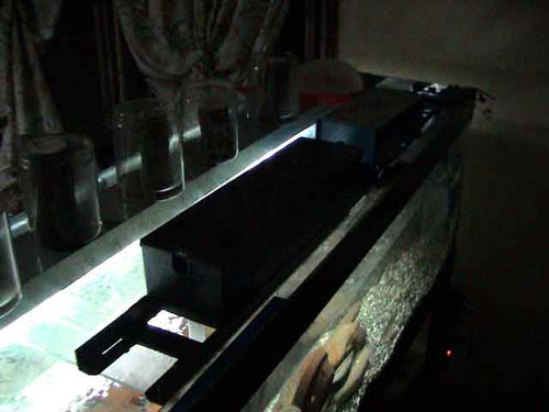 dsc02017.jpg