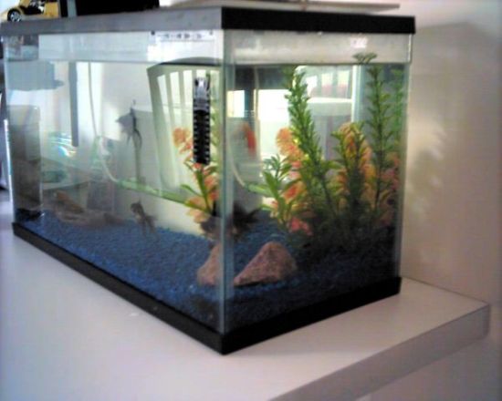 pict0003.jpg
