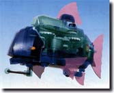 aquaroidfish.jpg