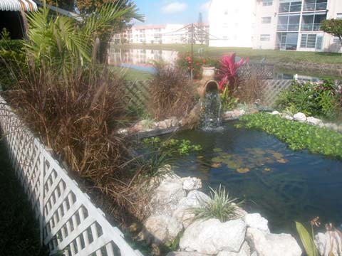 pond1.jpg