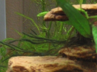 img_2070_small.jpg img_2070_small.jpg