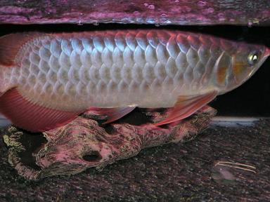 p1010460small.jpg p1010460small.jpg