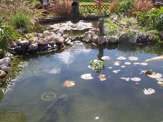 100_0942.jpg