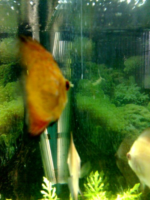 11-02-07_1232.jpg