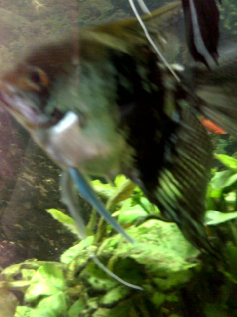 11-02-07_1235.jpg