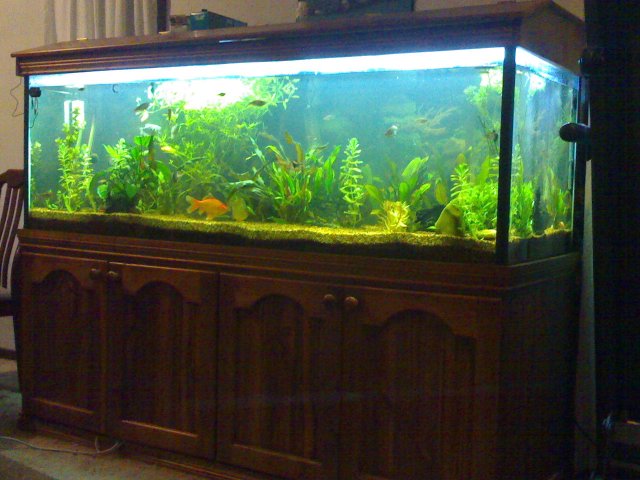 02072006066.jpg
