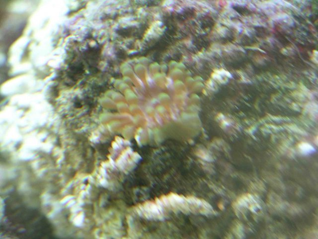 Thing3.jpg