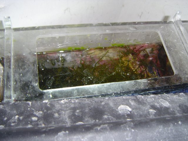 tank2 (38).jpg