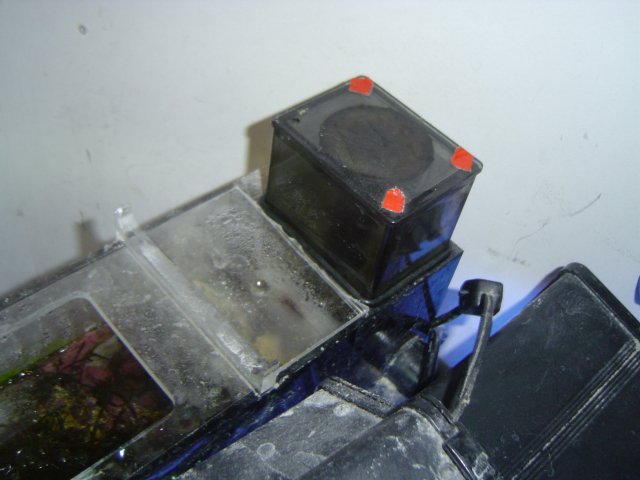 tank2 (39).jpg
