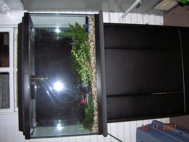 fish 010.jpg