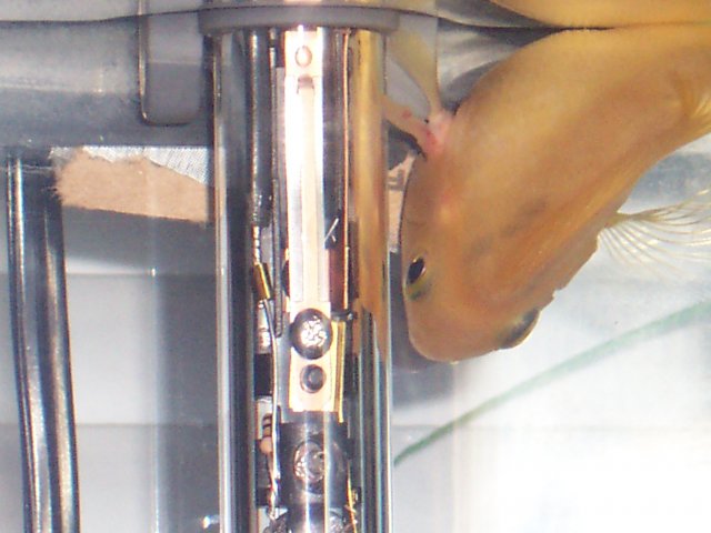 101_0870.JPG