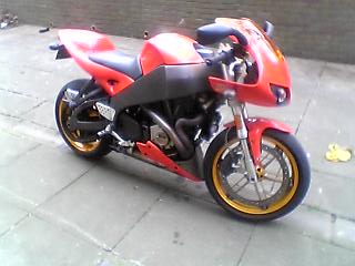 cols pics 009.jpg