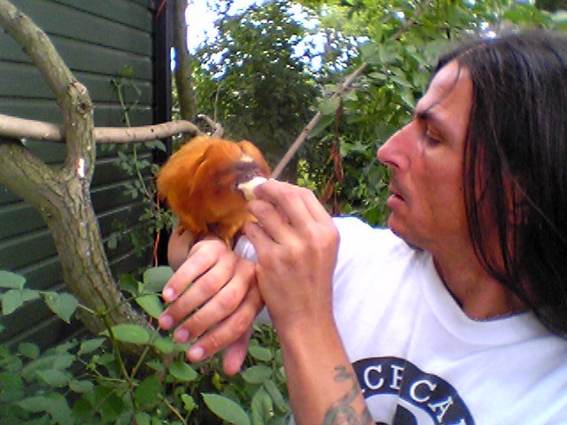 cols pics 020.jpg