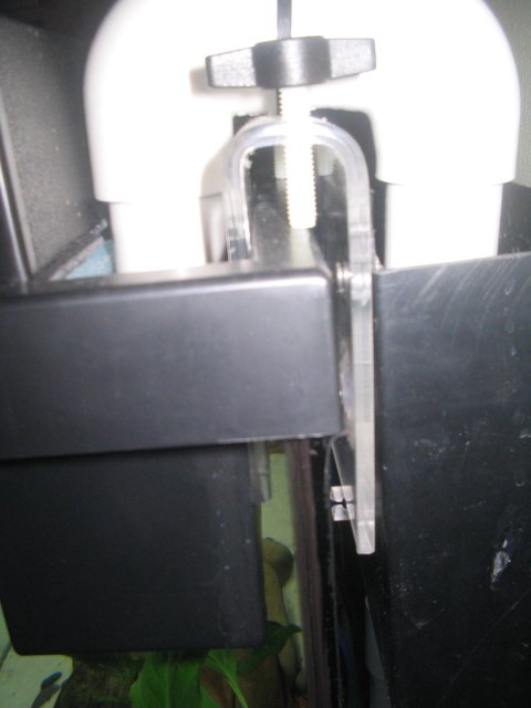 new fishtank 021.jpg new fishtank 021.jpg