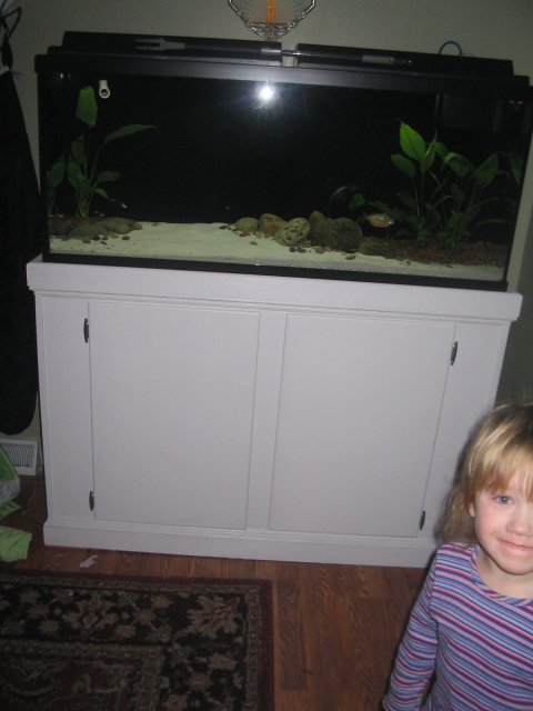 new fishtank 010.jpg new fishtank 010.jpg