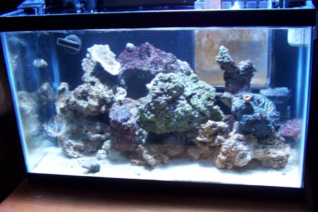 100_0142.jpg