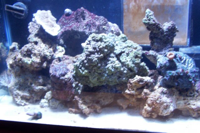 100_0143.jpg