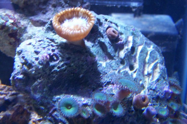 100_0147.jpg