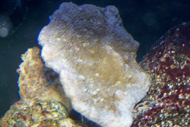 100_0148.jpg