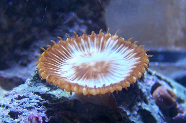 100_0151.jpg