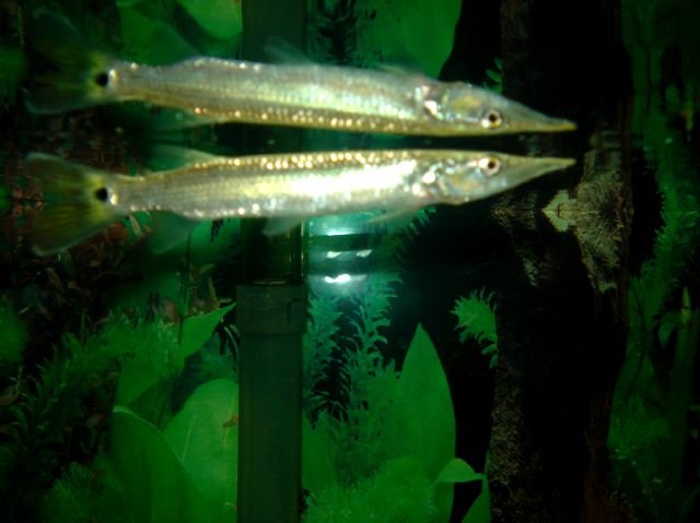 DSC00146.JPG