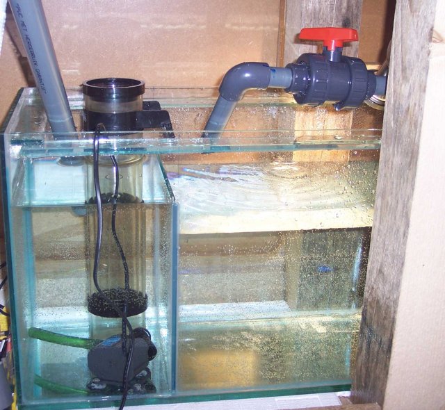 Another-Sump.jpg