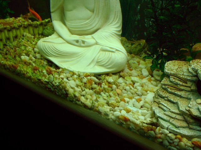 2007_0219_163541AA.JPG
