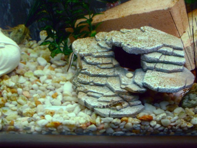 2007_0219_163620AA.JPG
