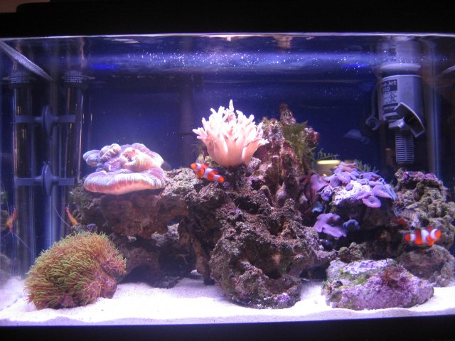 Full Tank.jpg