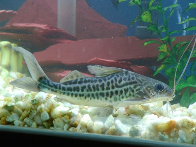 2007_0224_190313AA.JPG