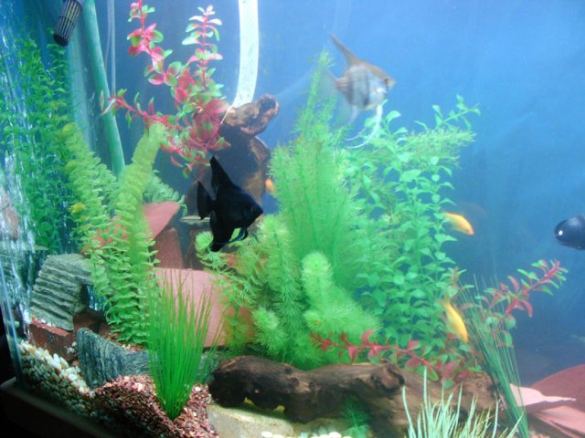 2007_0224_191035AA.JPG
