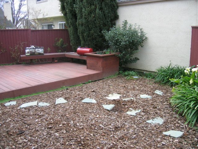 future location of pond.jpg future location of pond.jpg
