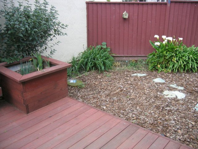 future location of pond 2.jpg future location of pond 2.jpg