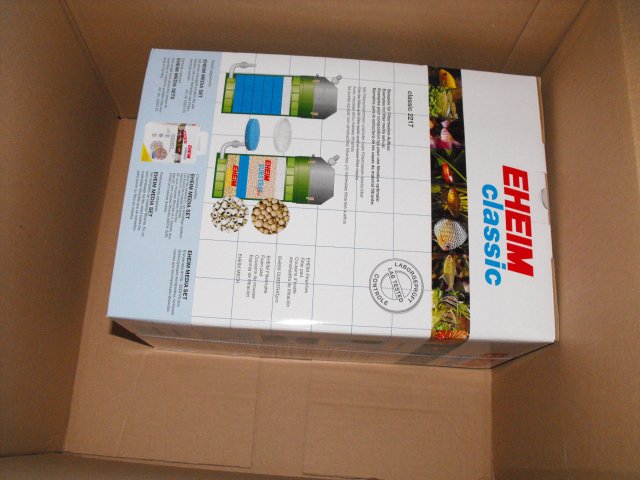 November 2009 031.jpg