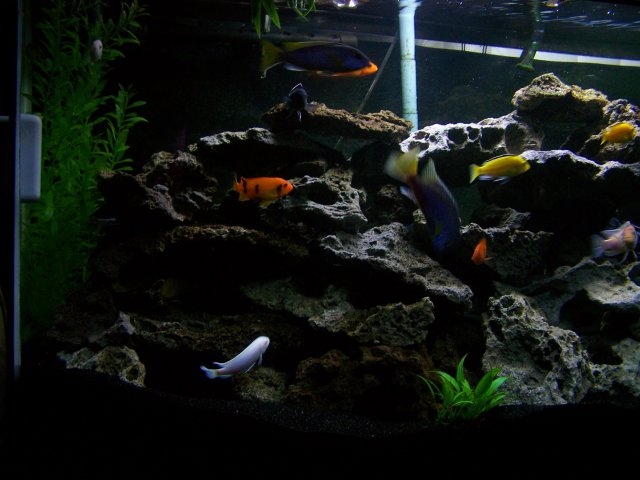 100_2428.JPG