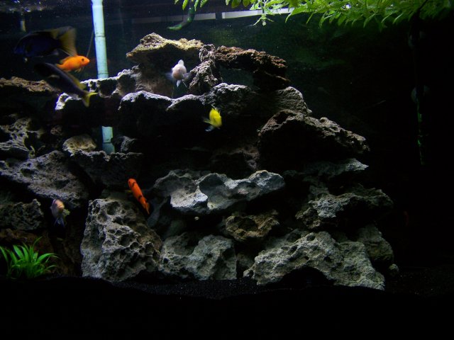 100_2429.JPG