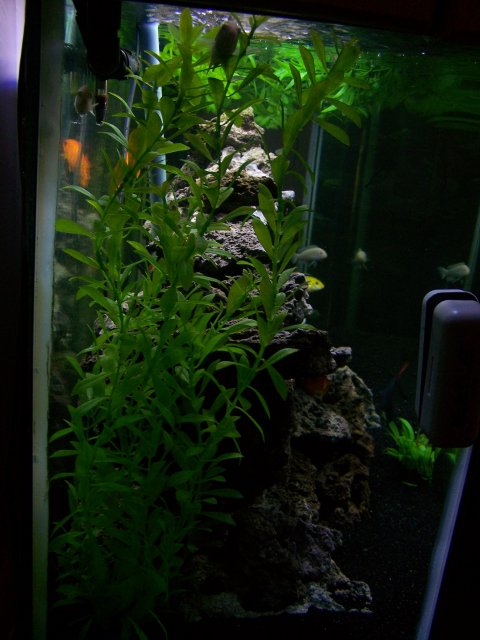 100_2436.JPG