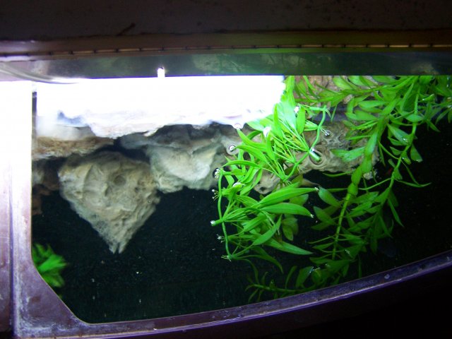 100_2441.JPG