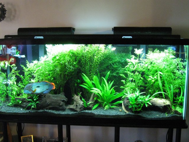 fts 001.JPG