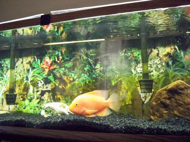 102_0219.JPG