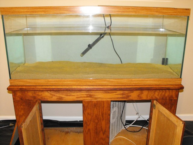 November 2009 044.jpg
