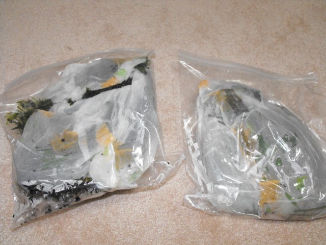 November 2009 043.jpg