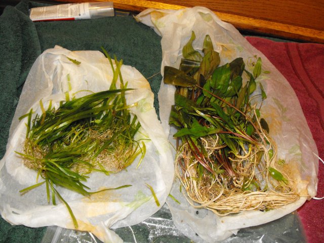 November 2009 045.jpg